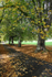 Authum in Fishponds_ B076