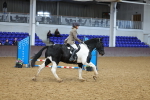 SBM_000443
