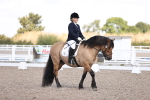 SBM_03593