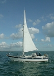 081009 AVOCET 8CDX9921