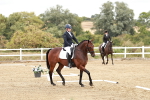 SBM_010147