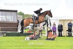 BPP_8581