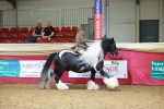 SBM_06187