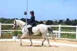 Class 6: Novice 3 2024 - Section A portfolio