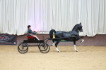 SBM_000997