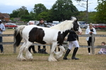 WJ6_8352