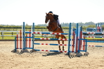 SBM_002040