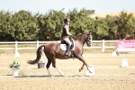 SBM_017376
