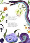 Illustrated Poem