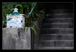 White Mailbox