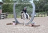 BPP_8108
