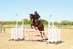 SBM_000833