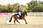 SBM_016953