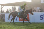 281224-Race 1-Not Staying Long-1202