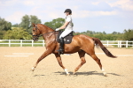SBM_002795