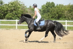 SBM_012440
