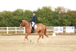 SBM_001677