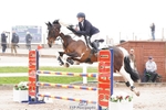 Saturday 26th - Click to View portfolio