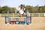 SBM_002141
