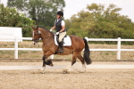 SBM_008678