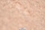 230520A-135750-00531