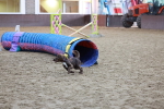 SBM_004499