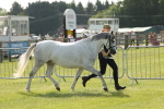 SBM_00741