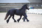 SBM_003978