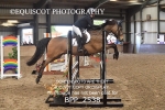 CLASS 16 Pony BritiNovice / 0.80m Open portfolio