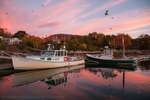 Camden Harbor Sunrise