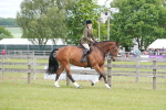 SBM_15008