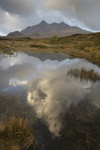 471A7289  ISLE OF SKYE, SCOTLAND