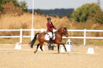 SBM_018625