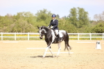 SBM_007956
