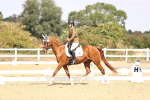 SBM_014969