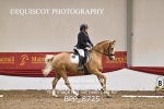BPP_8725