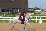Cls 7 Pony Foxhunter & Open portfolio