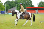 SBM_00938