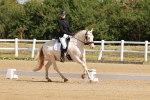 SBM_000313