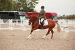 SBM_06095