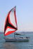 190825 PELOGISA - OCEANIS 361 1Y3A2444