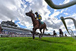 Race 3 3.21pm British Stallion Studs EBF Novice Stakes portfolio
