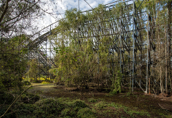 Abandoned Six Flags (New Orleans, LA) | Alligator Country