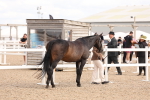 SBM_15344