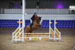 SBM_002649