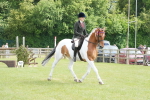 SBM_17568
