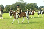 SBM_67645
