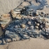 Bedruthan beach Shells-IMG_367