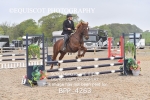 BPP_4263