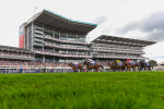 260823-Race 4-Absurde-1643